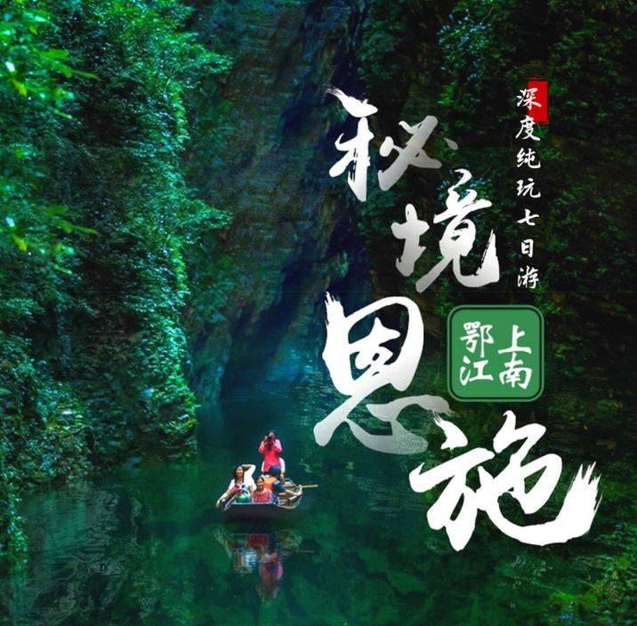 照顾小兔宝宝