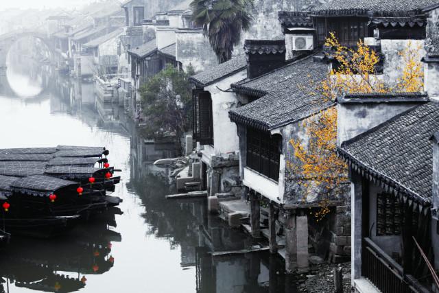松材线虫病害自动检测仪